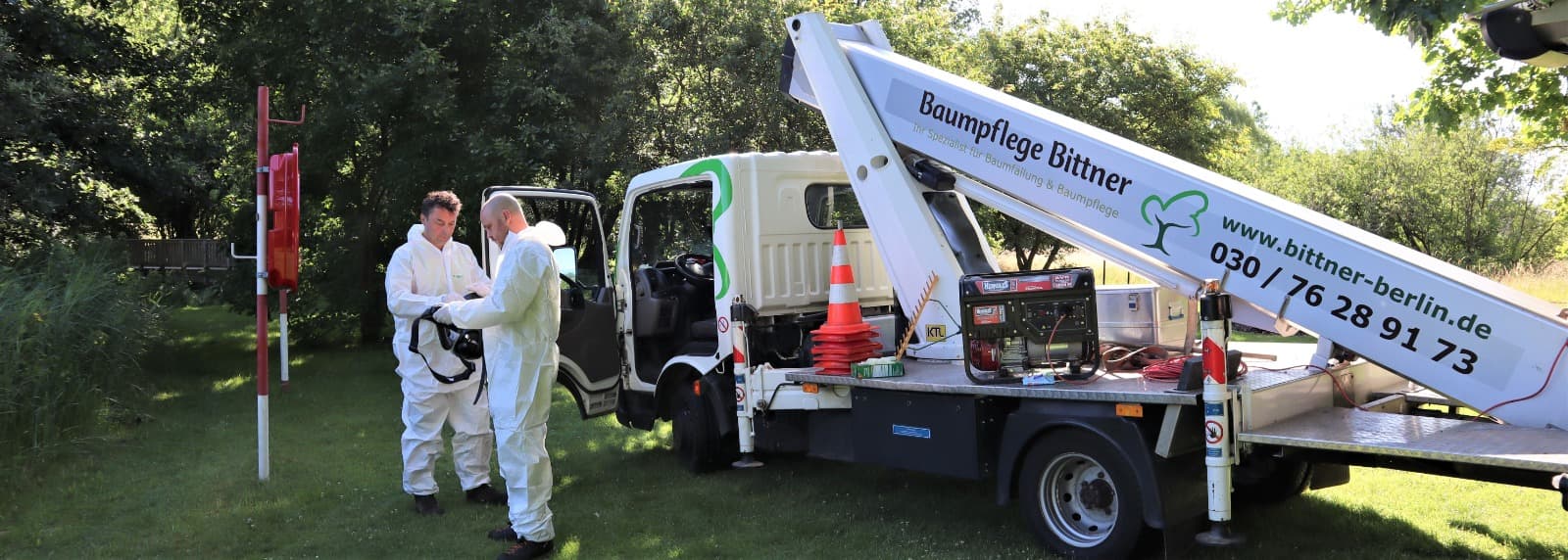 Eichenprozessionsspinner Entfernung und Bekämpfung in Berlin und Brandenburg