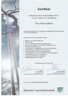 Zertifikat Seilklettertechnik für die Baumpflege (SKT A)