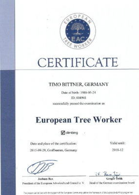 Zertifikat European Treeworker - Climbing