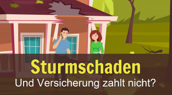 Baumkontrollen