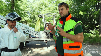 EPS Eichenprozessionsspinner entfernen in einem berliner Park