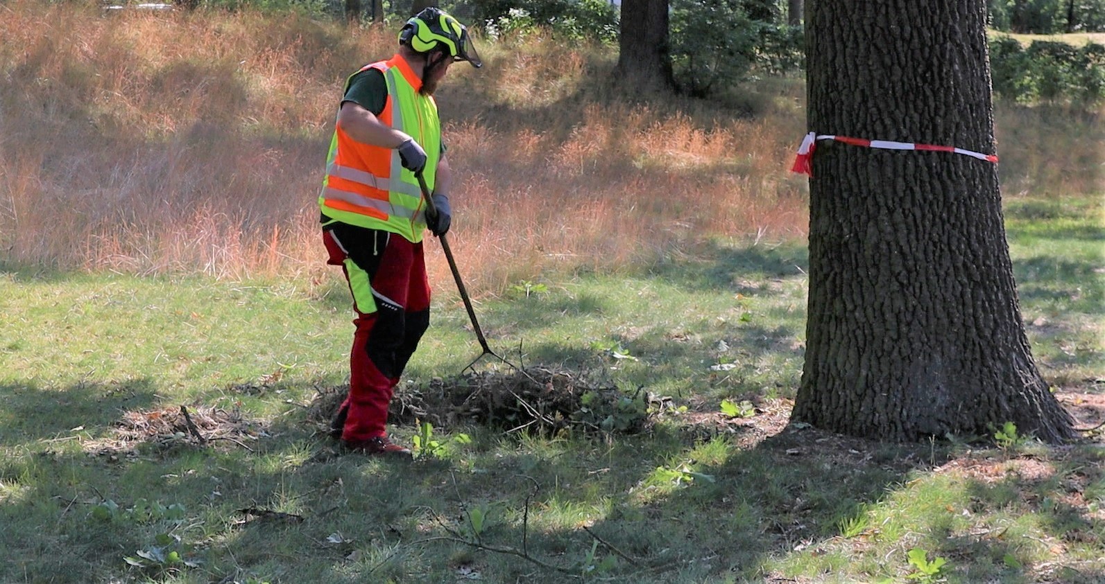 Aufräumungsarbeiten nach Baumpflegemaßnahmen in Berlin