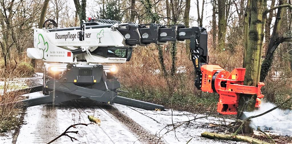 Baumfällung mit Fällkran